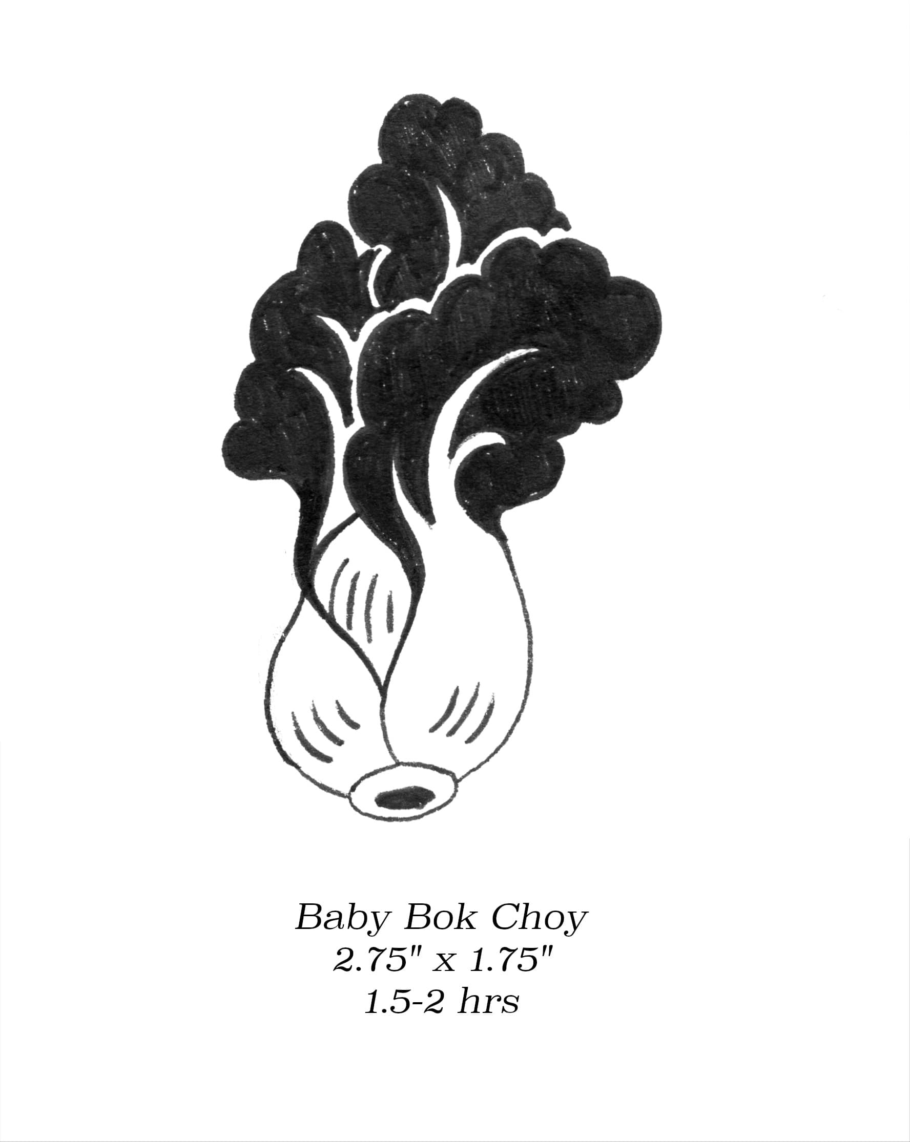 Flash image 84