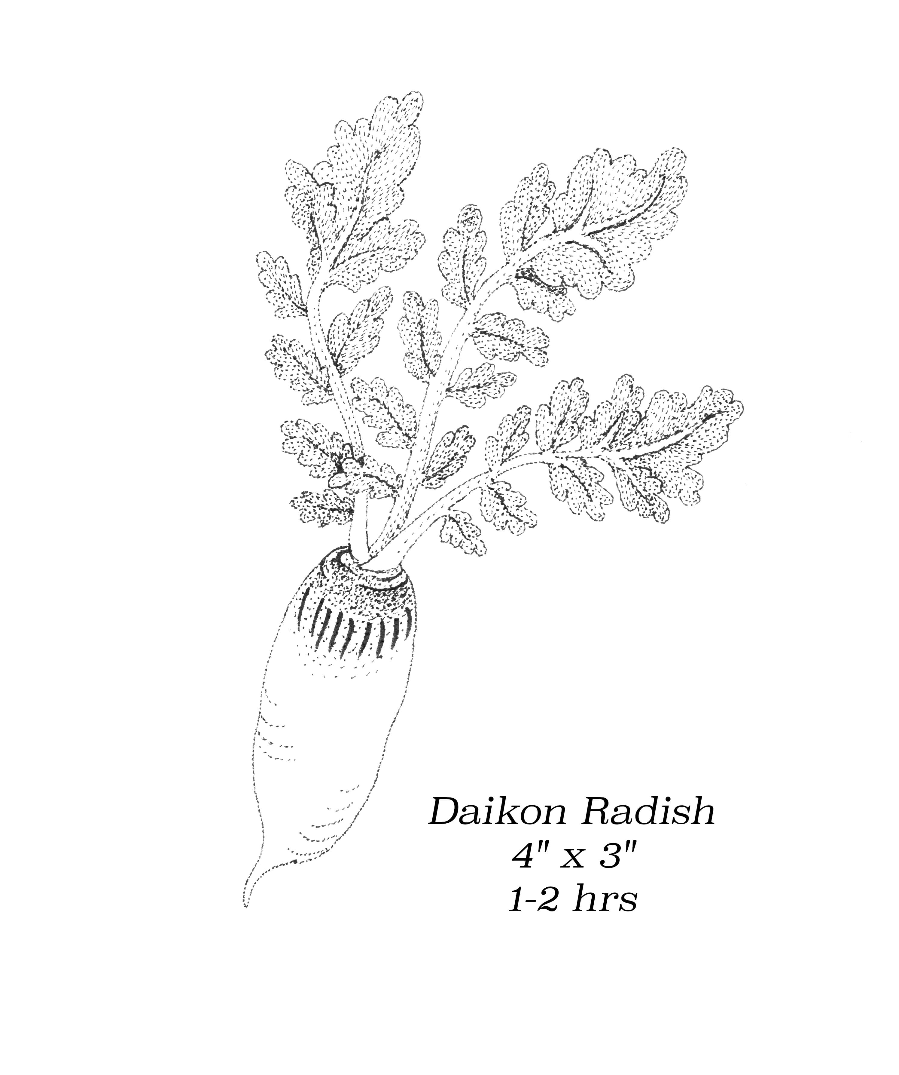 Flash image 70
