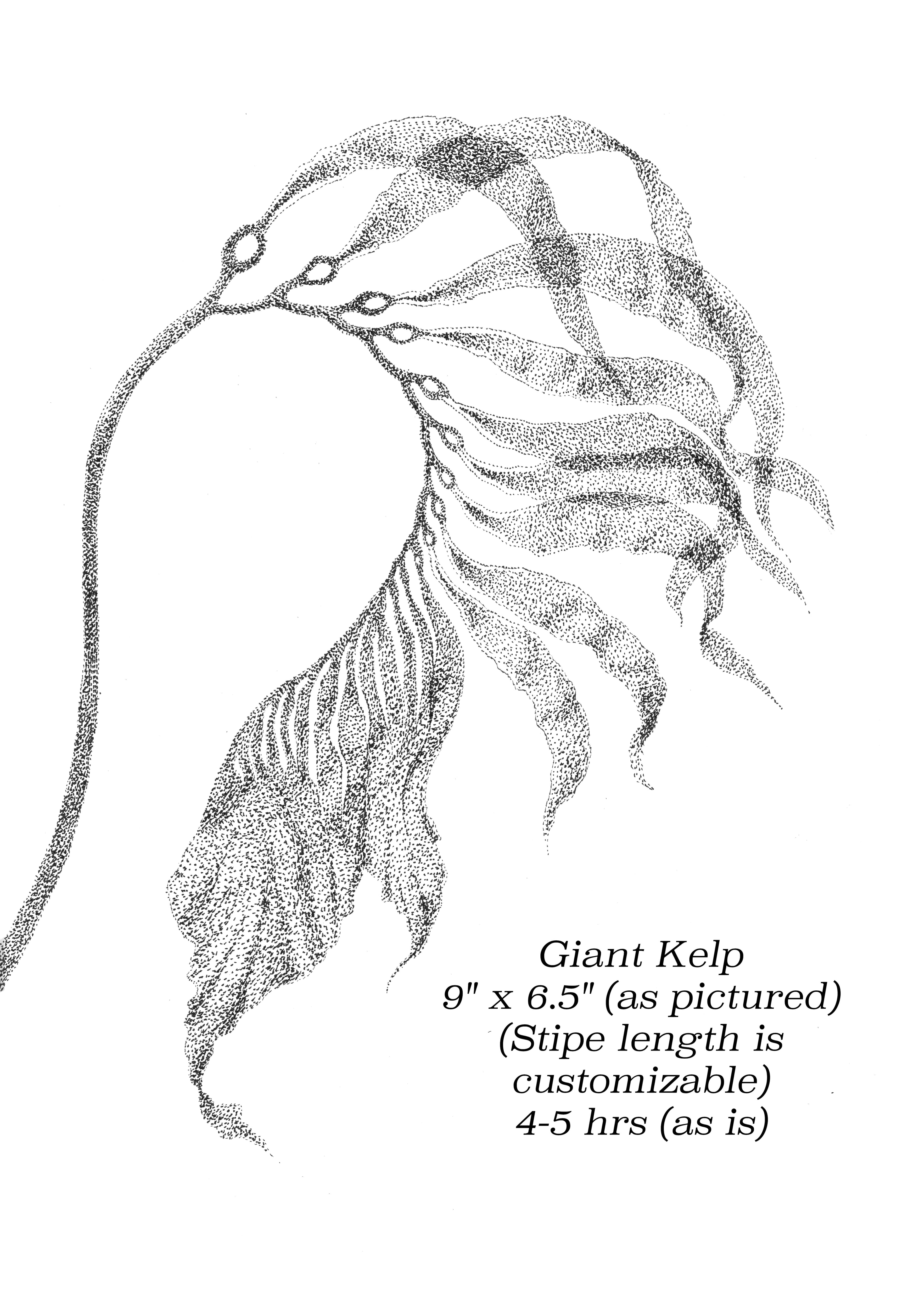 Flash image 66