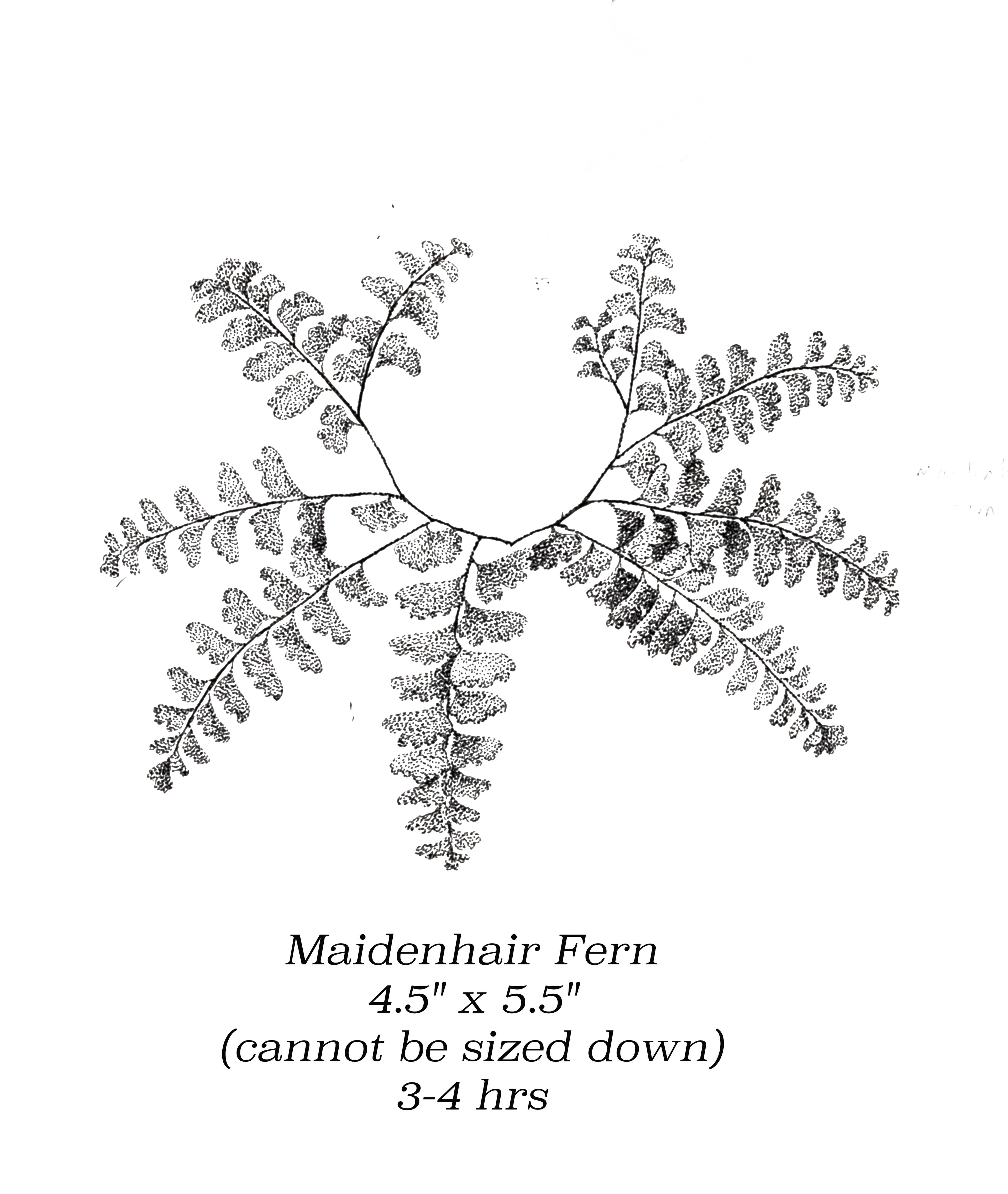 Flash image 13