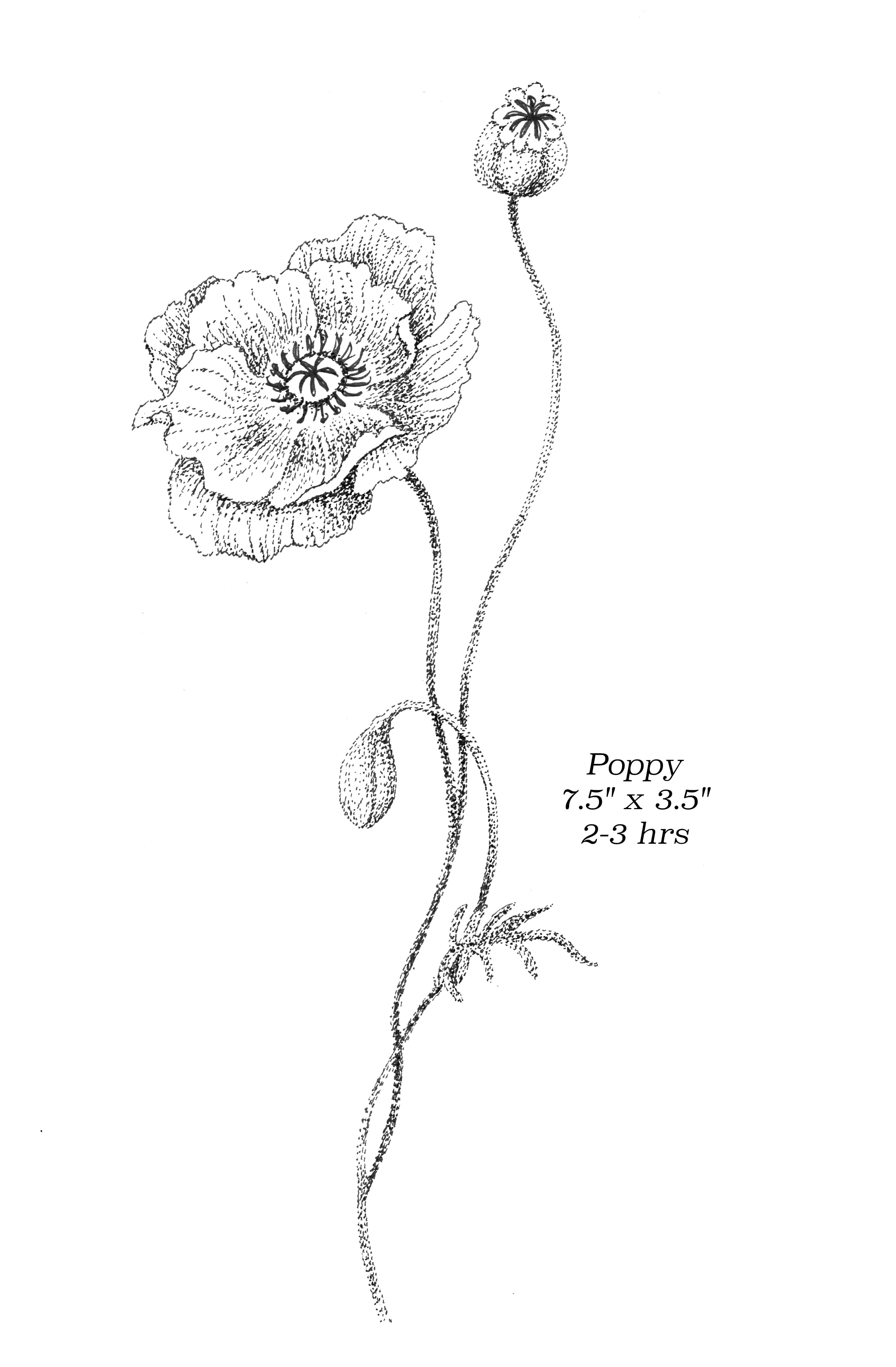 Flash image 25