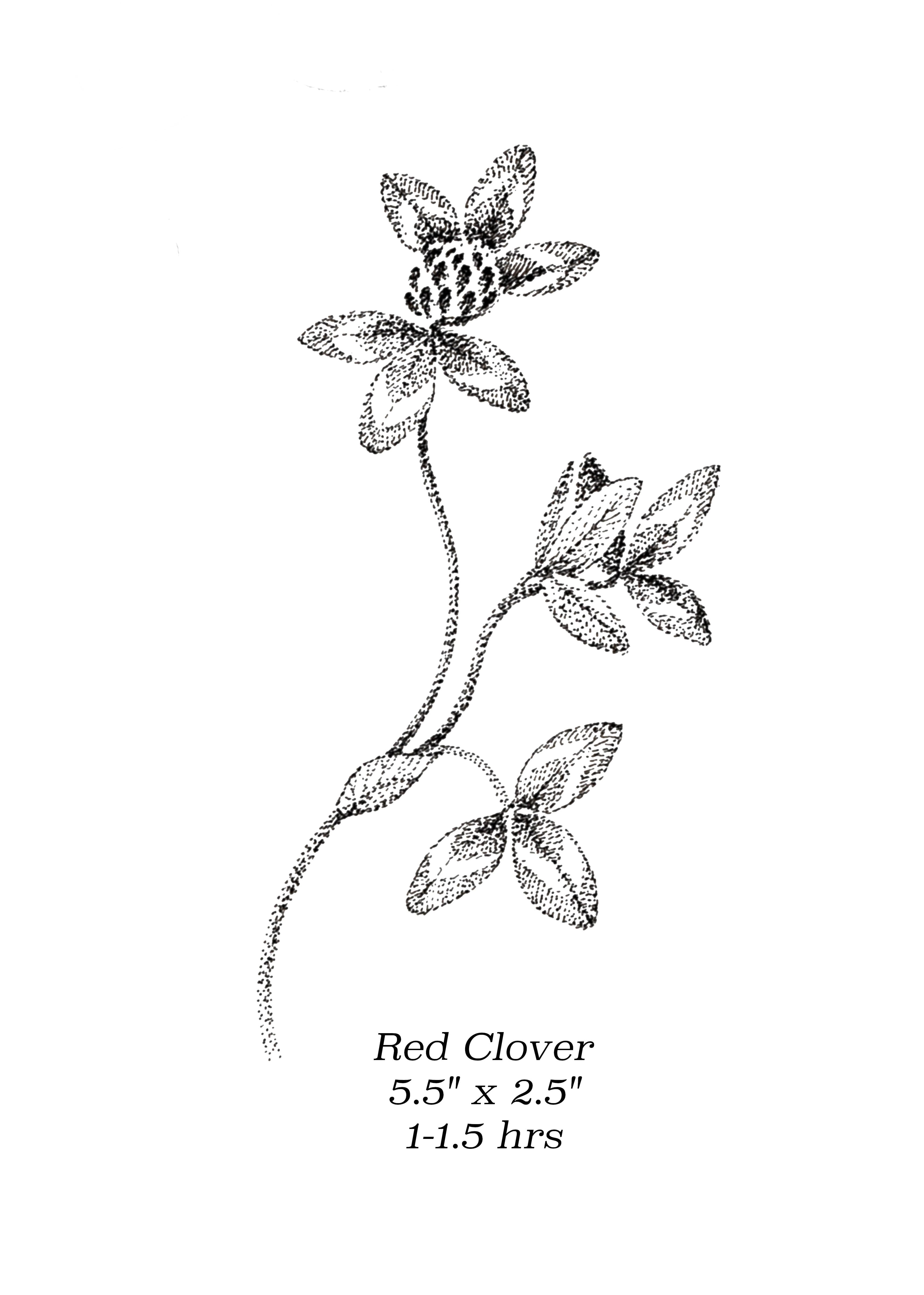 Flash image 3