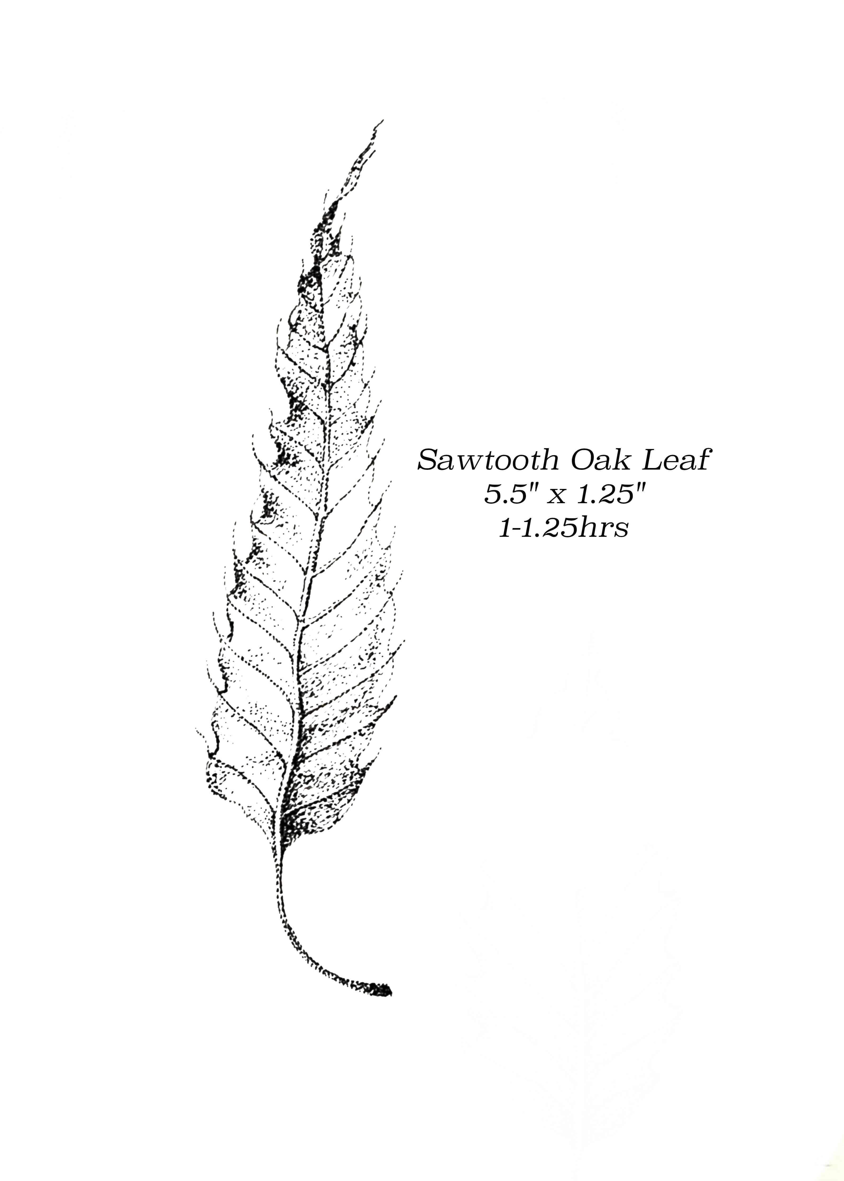 Flash image 15