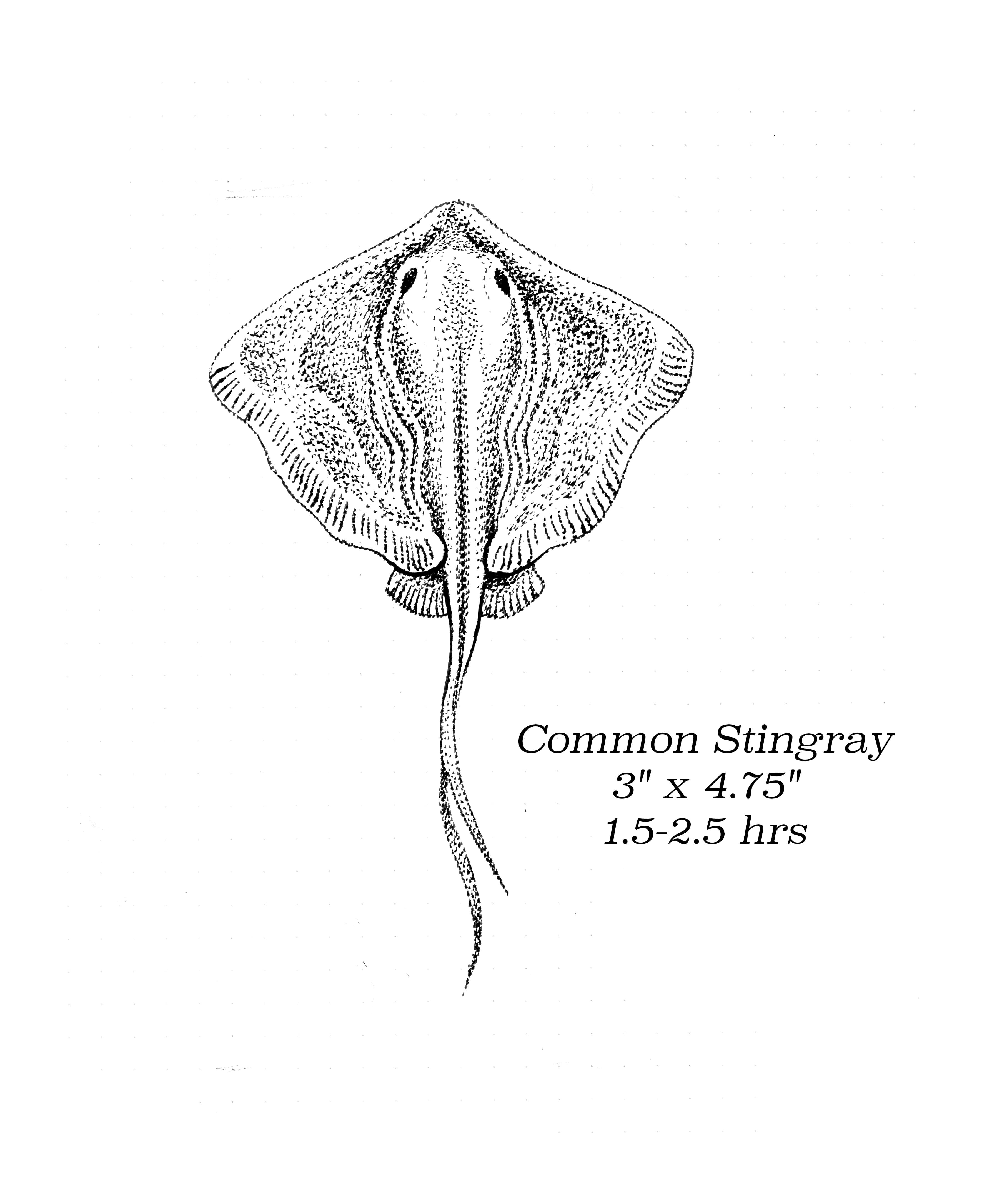Flash image 36