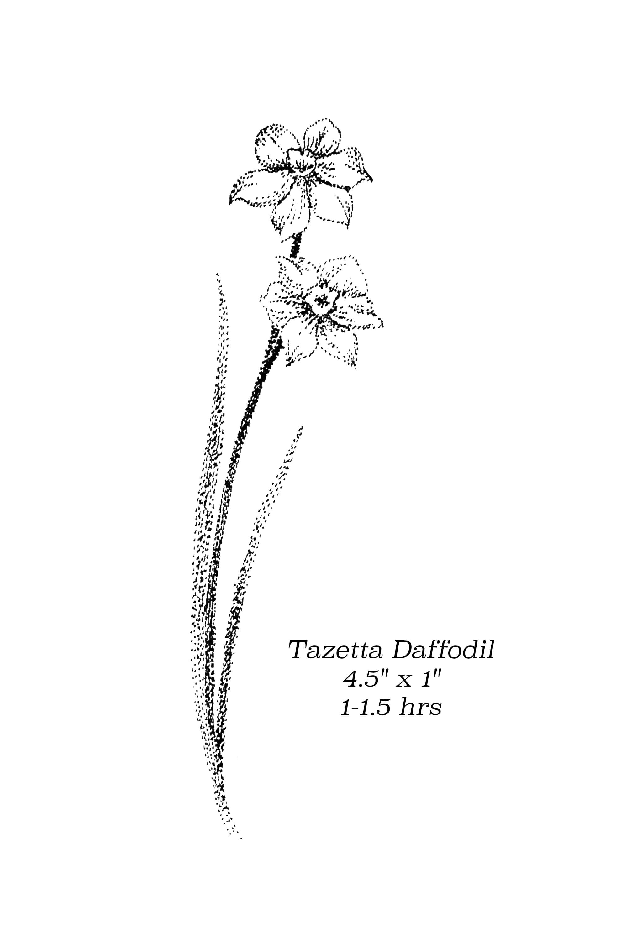 Flash image 21